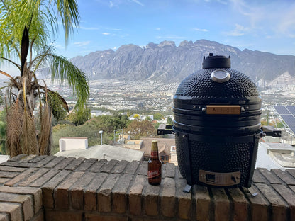 Asador cerámico JohnGrill SMALL 15"